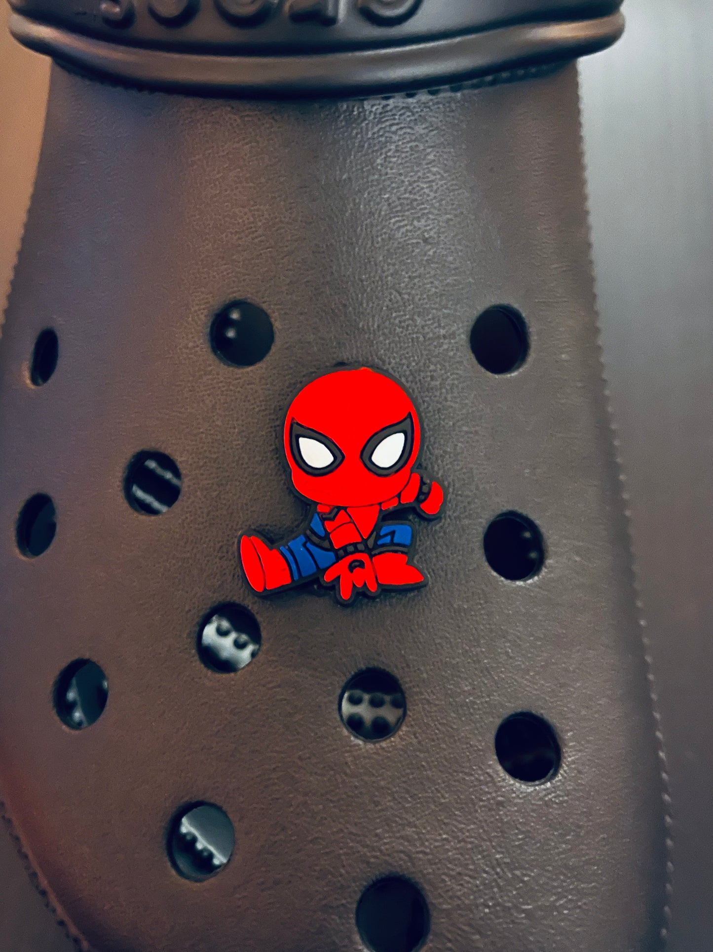 SPIDEY CHARM