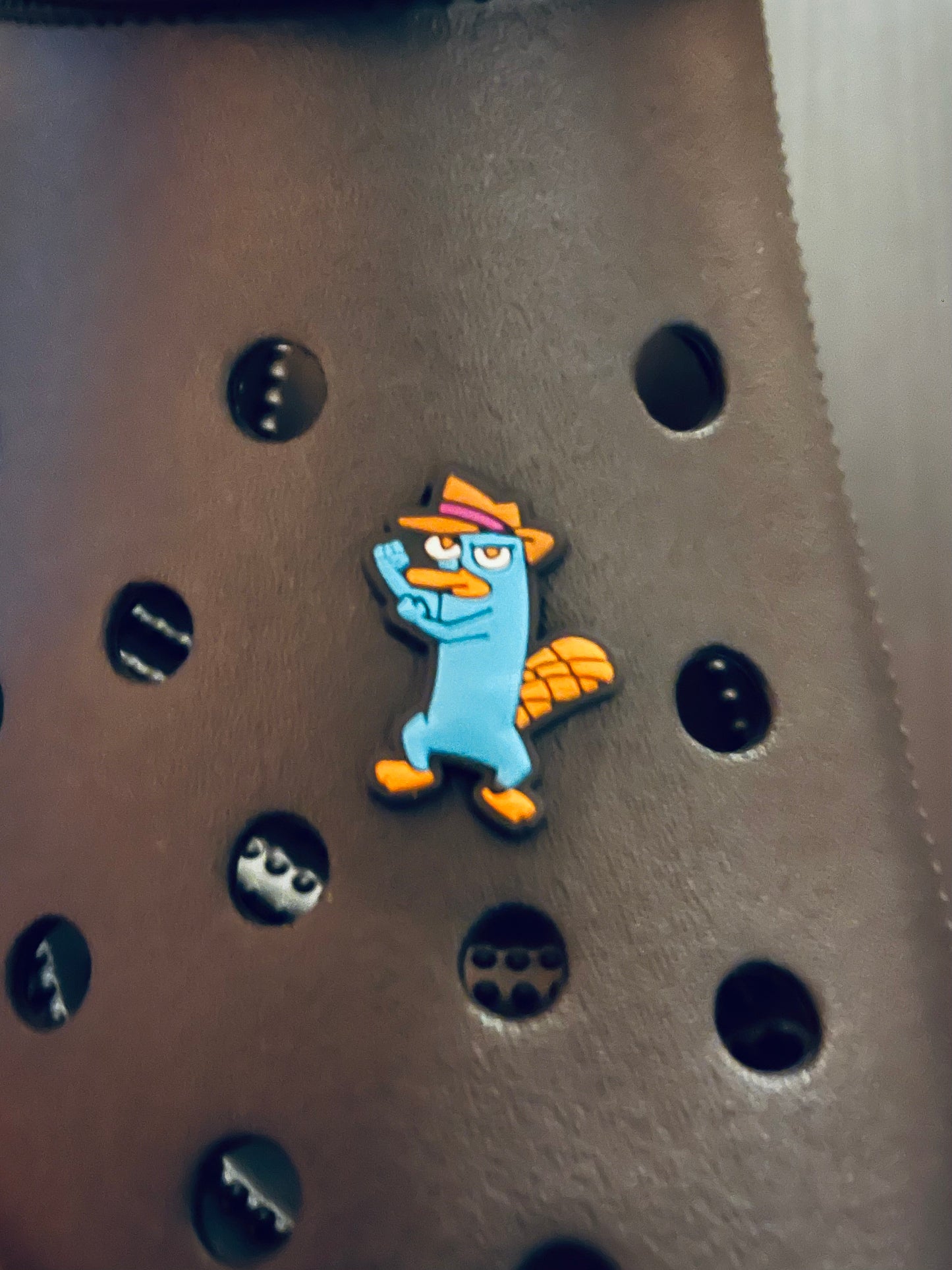 PERRY CHARM