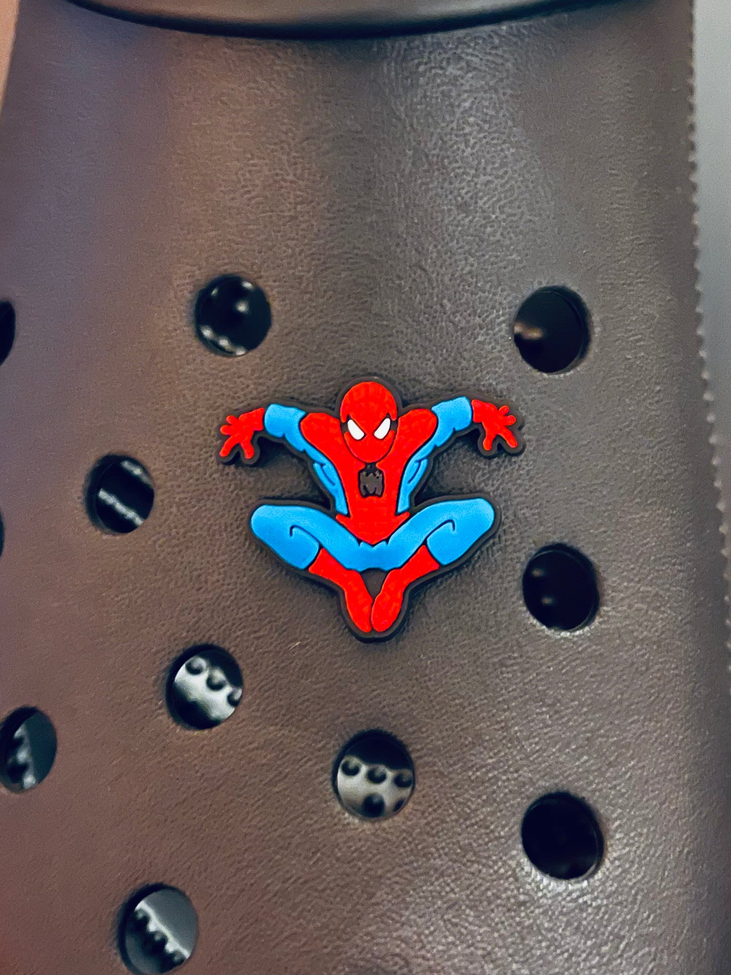 SPIDER CHARM