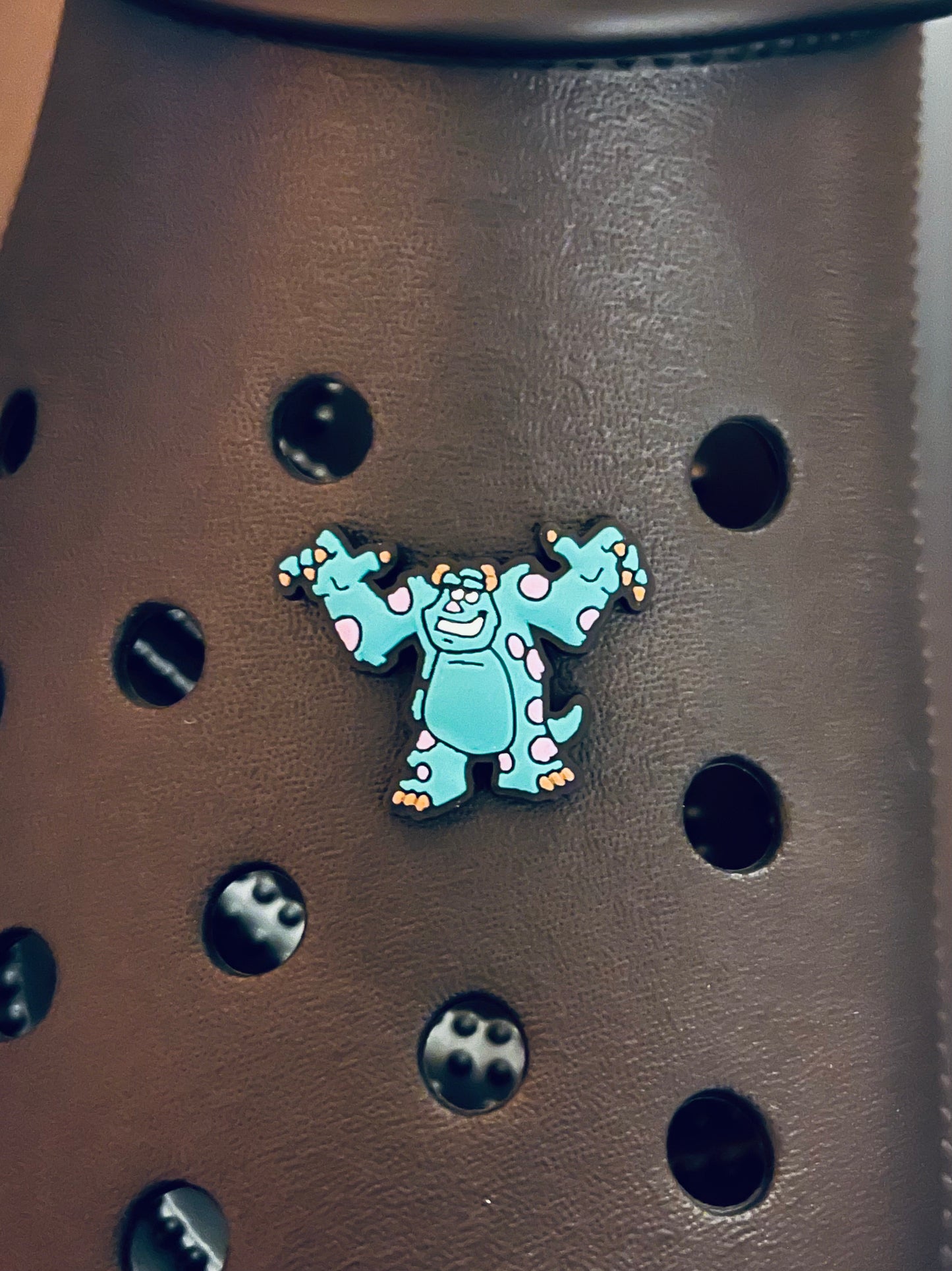 SULLY CHARM