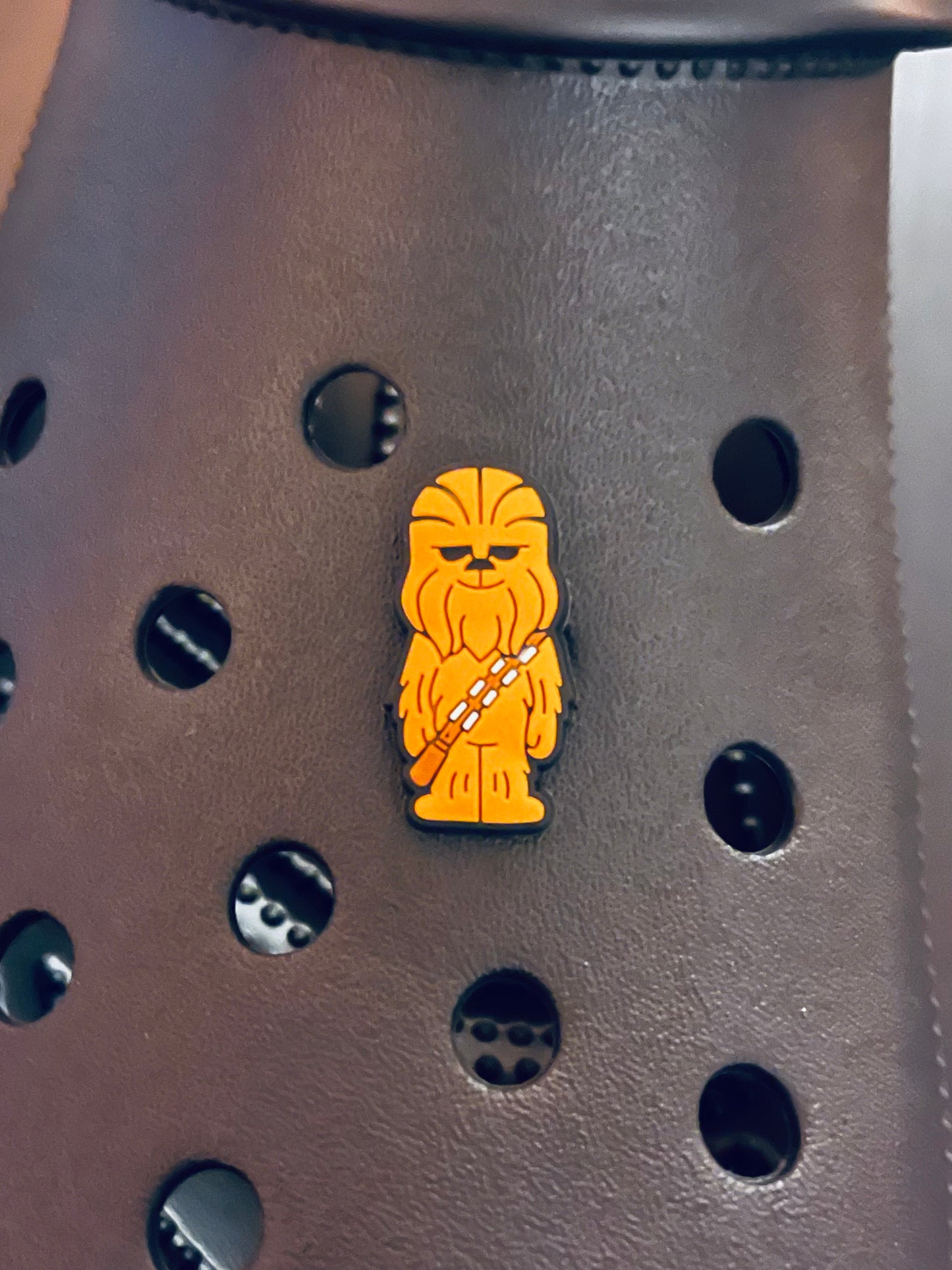 CHEWY CHARM
