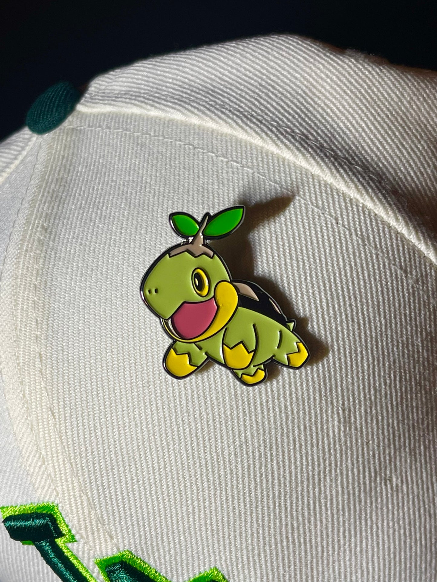 TURTWG PIN