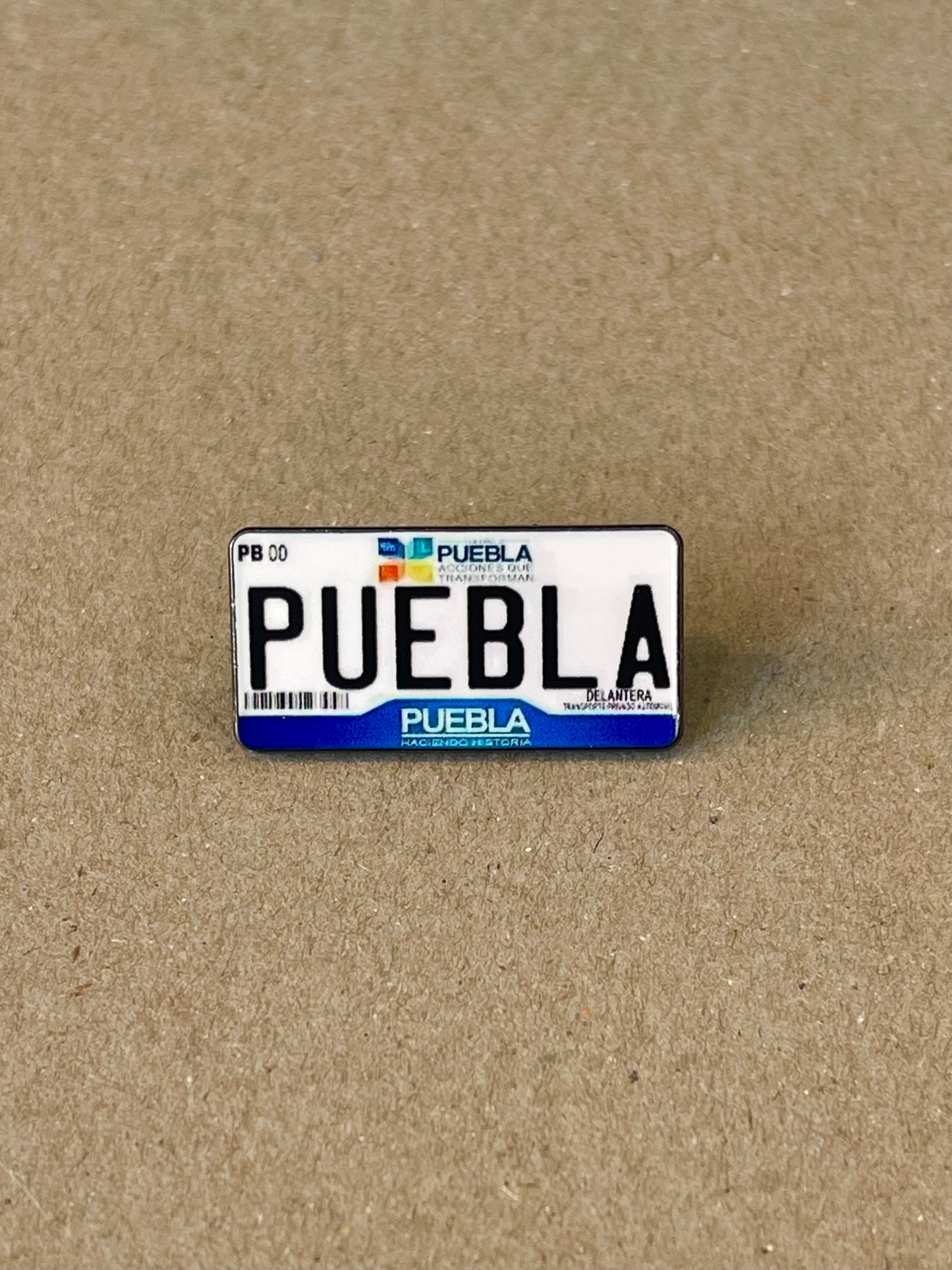 MEXICAN LICENSE PLATE PINS