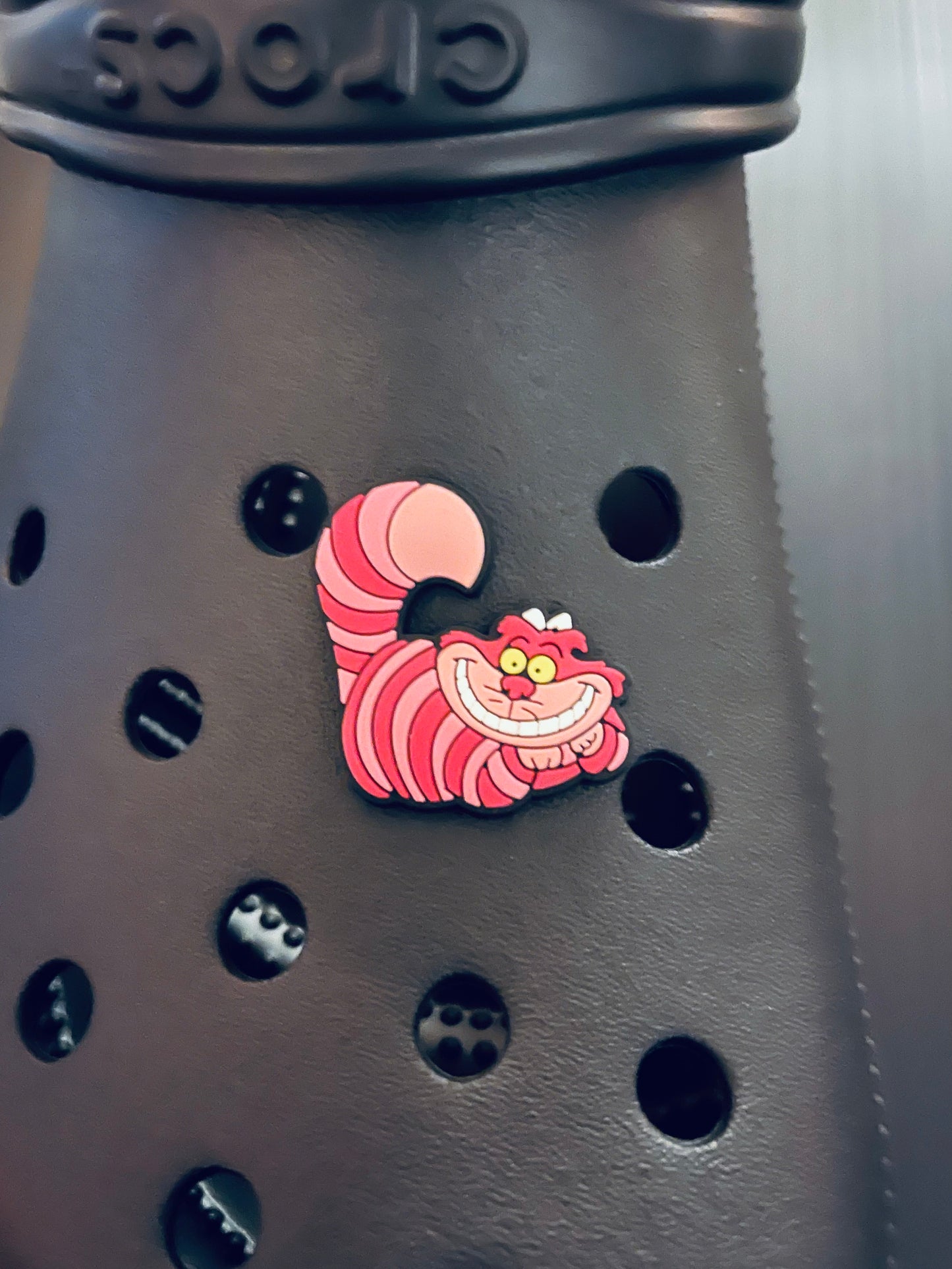 CHESH1RE CAT CHARM